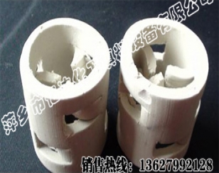 陶瓷鲍尔环填料